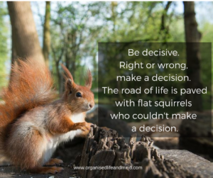 Be decisive squirrel Saturday quote