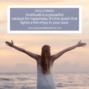 Saturday Quote Amy Collette