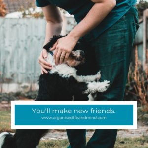 You'll make new friends