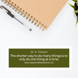 Saturday quote The shorter way to do many things is to only do one thing at a time.