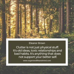 Clutter is not just physical stuff. It's old ideas, toxic relationships and bad habits. It's anything that does not support your better self.