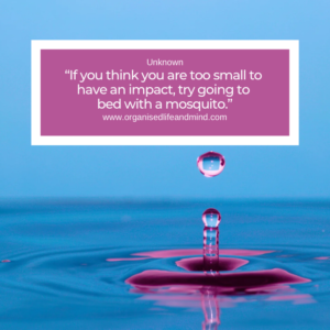 Saturday quote 2025-34 “If you think you are too small to have an impact, try going to bed with a mosquito.” Unknown
