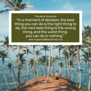 Saturday quote 2025-41 “In a moment of decision, the best thing you can do is the right thing to do, the next best thing is the wrong thing, and the worst thing you can do is nothing.” Theodore Roosevelt