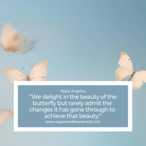 Saturday quote 2025-48 “We delight in the beauty of the butterfly but rarely admit the changes it has gone through to achieve that beauty.” ​Maya Angelou
