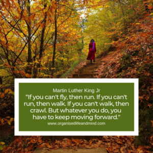 Saturday Quote 2026-03 "If you can't fly, then run. If you can't run, then walk. If you can't walk, then crawl. But whatever you do, you have to keep moving forward." Martin Luther King Jr