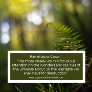 Saturday Quote 2026-32 “The more clearly we can focus our attention on the wonders and realities of the universe about us, the less taste we shall have for destruction.” Rachel Louise Carson