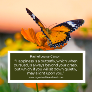Saturday Quote 2026-40 “Happiness is a butterfly, which when pursued, is always beyond your grasp, but which, if you will sit down quietly, may alight upon you.” Nathaniel Hawthorne
